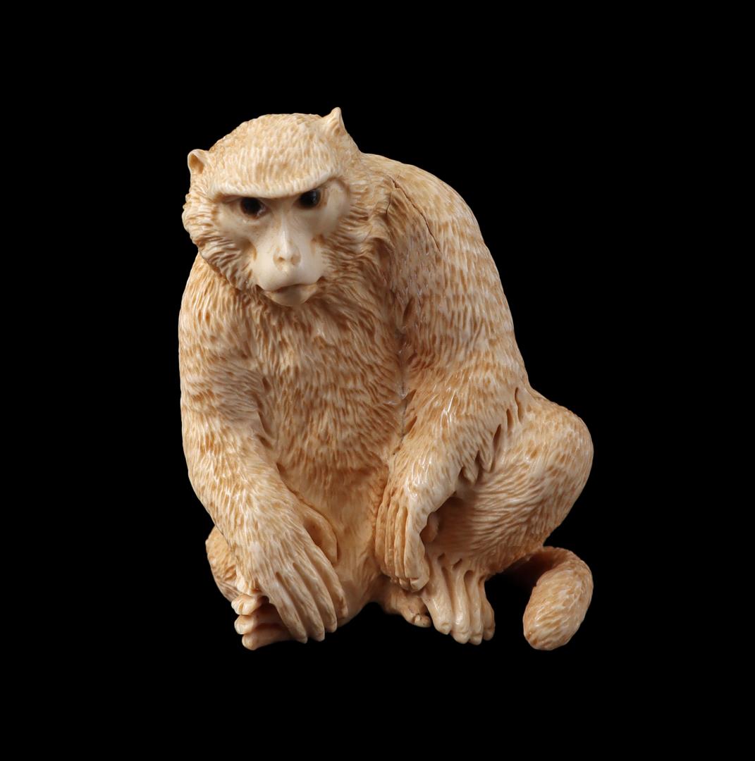 Ivoren netsuke van een aap uit Japan