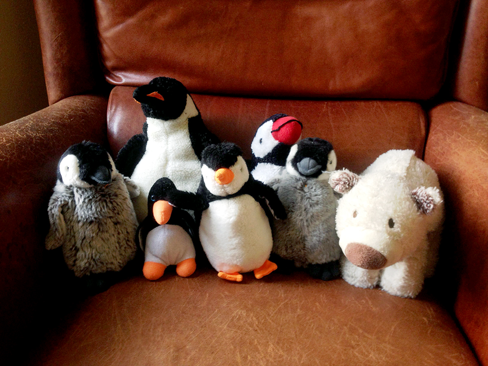 Stuffed animals for the exposition of my children's book illustrations